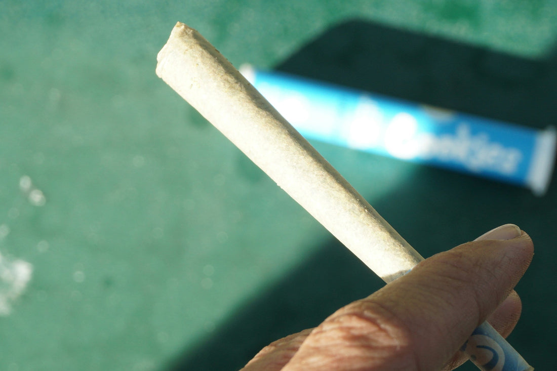 Tendencias 2025 en Parafernalia: Lo Nuevo en Pipas, Vapers y Grinders