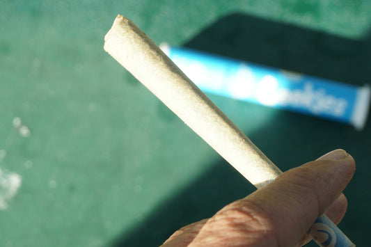 Tendencias 2025 en Parafernalia: Lo Nuevo en Pipas, Vapers y Grinders